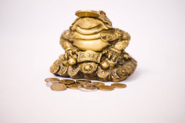 Hayatta iyi şans ve maddi refah getirmek için üç bacaklı altın kurbağa..