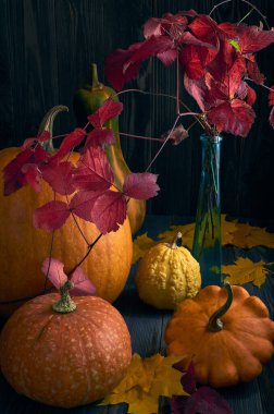 Koyu ahşap bir masanın üzerinde farklı boyutlarda ve renkte balkabakları ve sarı sonbahar yaprakları. Yakınlarda, küçük mavi bir vazoda, kırmızı sonbahar yapraklı bir dal var. Durgun yaşam, dikey yönelim. 