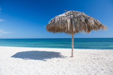 Küba'da şemsiye ile Karayipler beach