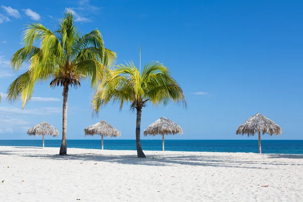 Caribbean beach with palms in Cuba — Stock Photo, Image