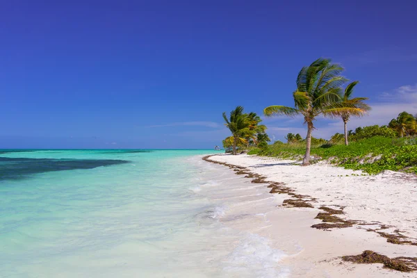 Caribbean beach in Cuba — Stock Photo, Image
