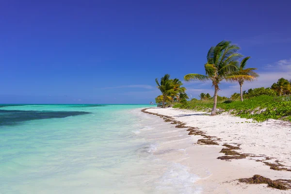 Karibikstrand in Kuba — Stockfoto