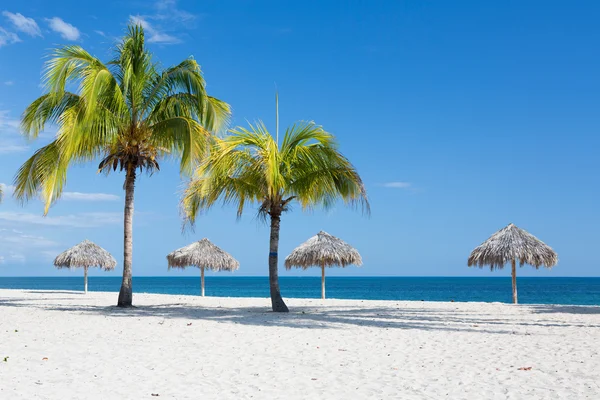 Playa caribeña con palmeras en Cuba Fotos de stock libres de derechos