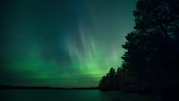 Time Lapse Green Northern Lights Moving Sky Lake North Sweden — Vídeos de Stock