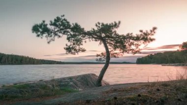 Gün doğumunda gölde ağaçların zaman aşımı, Tyresta Ulusal Parkı, İsveç