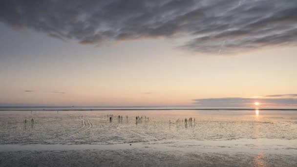 Gün Batımında Buesum Wadden Denizi Boyunca Yürüyen Insan Siluetlerinin Zamanlaması — Stok video