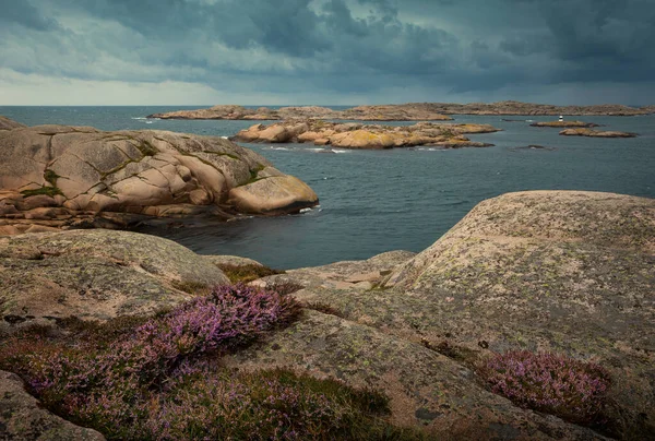 Coast Archipelago Smgen West Coast Sweden Overcast Cloudy Day — Stock Photo, Image