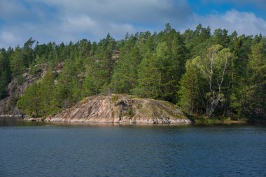 Shore with forest at Lake Stensjoen in Tyresta National Park in Sweden, during day with sun