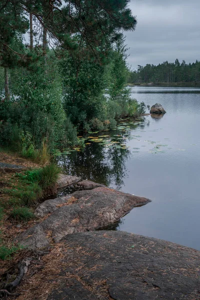 Jezioro Pochmurny Dzień Lasem Parku Narodowym Tyresta Szwecji — Zdjęcie stockowe