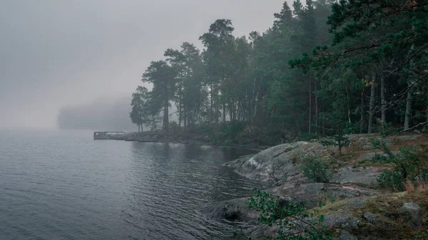 Lakeshore Lasem Humorzastej Porannej Mgle Pobliżu Parku Narodowego Tyresta Szwecji — Zdjęcie stockowe
