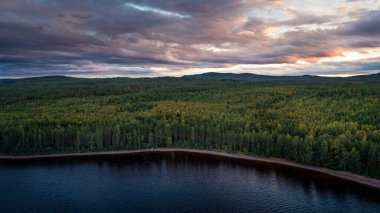 Green forest and lakeshore at Lake Siljan from above during sunset in Dalarna, Sweden clipart