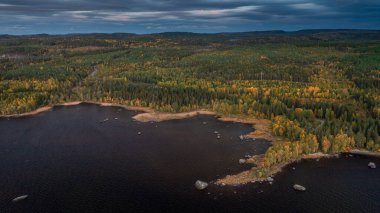 İsveç 'in Jamtland şehrinde sonbaharda renkli ağaçları olan Lakeshore.