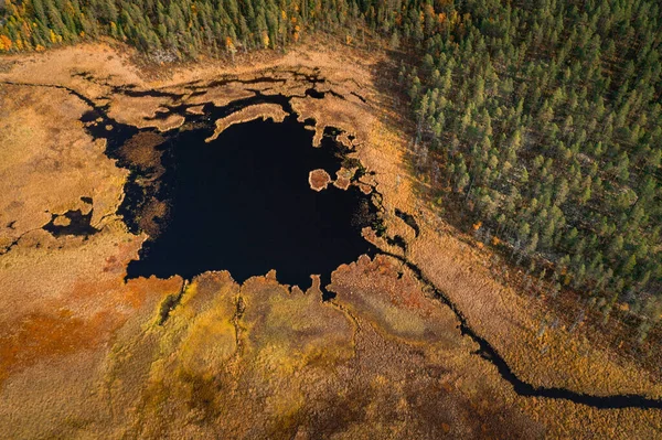 Divoká Krajina Lesem Hlubokým Modrým Jezerem Podzim Jamtlandu Švédsku Shora — Stock fotografie