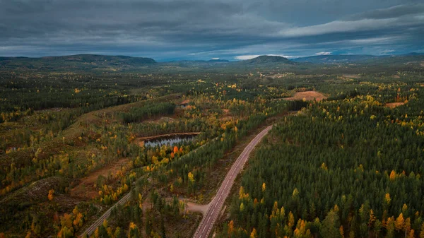 Krajina Wildernes Cesta Lesem Podzim Laponsku Švédsku Shora Barevné Stromy — Stock fotografie