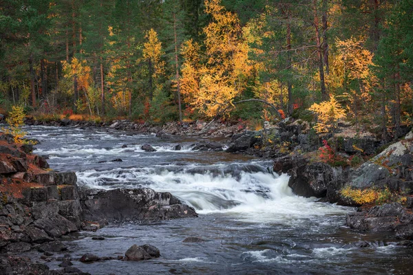 Rzeka Rzekami Wzdłuż Wilderness Road Kolorowymi Drzewami Jesienią Jamtland Szwecji — Zdjęcie stockowe