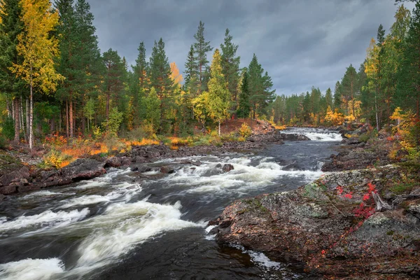 Rivier Met Stroomversnellingen Langs Wilderness Road Met Gekleurde Bomen Het — Stockfoto