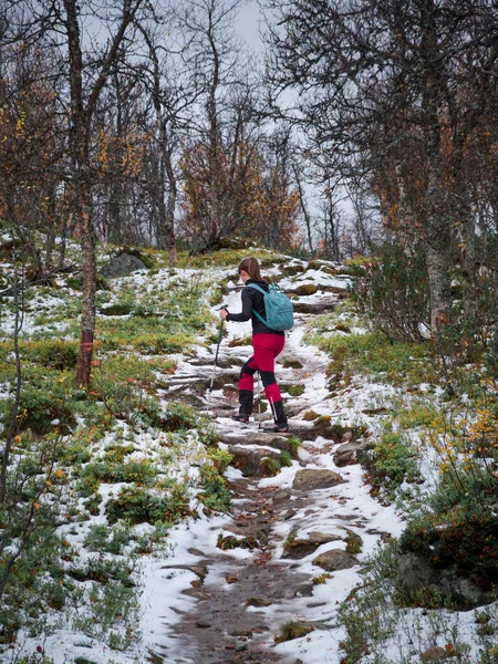 Vrouw Wandelen Langs Wandelpad Gekleurd Bos Van Pieljekaise National Park — Stockfoto