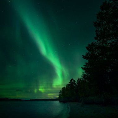 Gece gökyüzünde yeşil kuzey ışıkları Laponya, İsveç 'te göl kıyısında