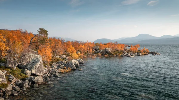 Lakeshore Season Colored Trees Lake Mountains Stora Sjoefallet National Park — Stockfoto