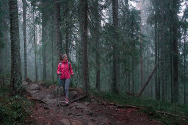 İsveç 'in doğusundaki Skuleskogen Ulusal Parkı' nın sisli, yosunlu kozalaklı ormanlarında yürüyüş yapan kadınlar.