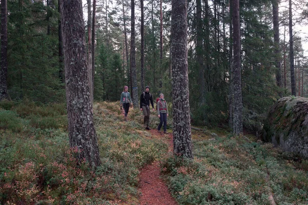 Groep Wandelaars Langs Wandelpaden Het Bos Het Tiveden National Park — Stockfoto