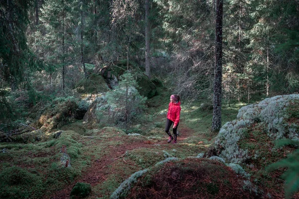 Mulher Caminhando Longo Trilha Floresta Parque Nacional Tiveden Suécia — Fotografia de Stock