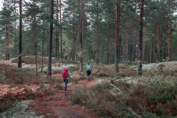 Twee Vrouwen Wandelen Een Wandelpad Het Bos Tiveden National Park — Stockfoto