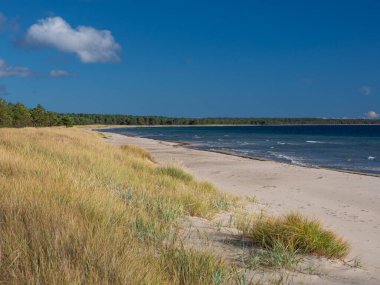 İsveç 'in doğusundaki Oland adasında, Lyckesand sahilindeki sahil manzarası.
