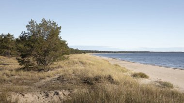 İsveç 'in doğusundaki Oland adasında, Lyckesand sahilindeki sahil manzarası.