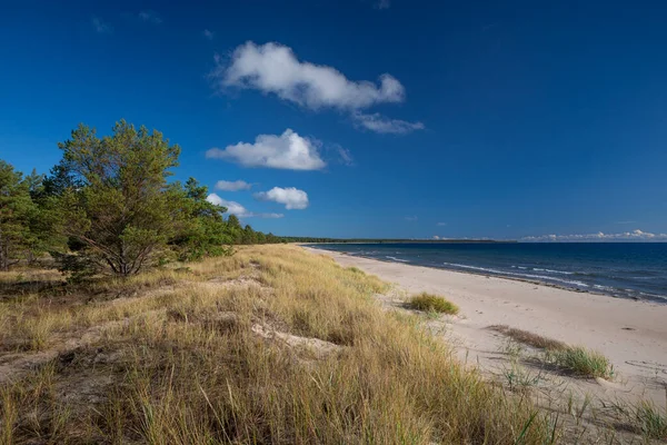 İsveç 'in doğusundaki Oland adasında, Lyckesand sahilindeki sahil manzarası.