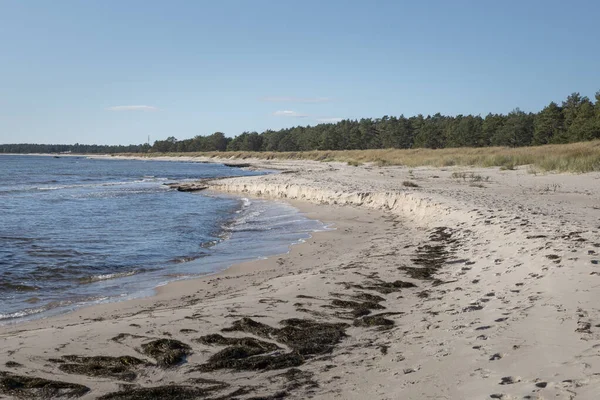 Coastal Panorama Lyckesand Beach Ocean Island Oland East Sweden — 图库照片