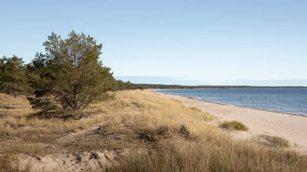 İsveç 'in doğusundaki Oland adasında, Lyckesand sahilindeki sahil manzarası.