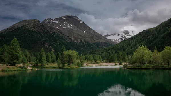 Lac Montagne Avec Arbre Sur Île Face Des Sommets Enneigés — Photo