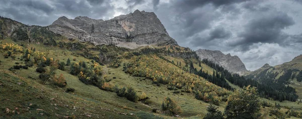 Panroama Green Yellow Maple Trees Front Mountains Karwendel Ahornboden Austria —  Fotos de Stock