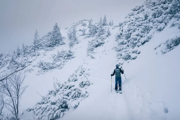 Skitour Naar Lacherspitze Sudelfeld Beieren Skitourer Sneeuw Tussen Besneeuwde Bomen — Stockfoto