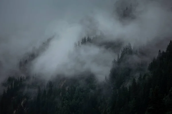Névoa Nuvens Baixas Dia Chuvoso Mal Humorado Nas Árvores Nas — Fotografia de Stock