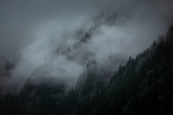 Niebla Nubes Bajas Día Lluvioso Malhumorado Los Árboles Las Montañas — Foto de Stock