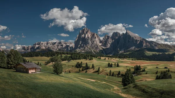 Ängar Med Trähytter Vid Alpe Siusi Sommaren Med Utsikt Över — Stockfoto