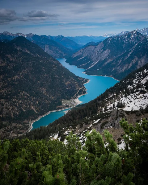 Turquoise Colored Lake Plansee Mountains Tyrol Austria Sunny Blue Sky — Stock fotografie