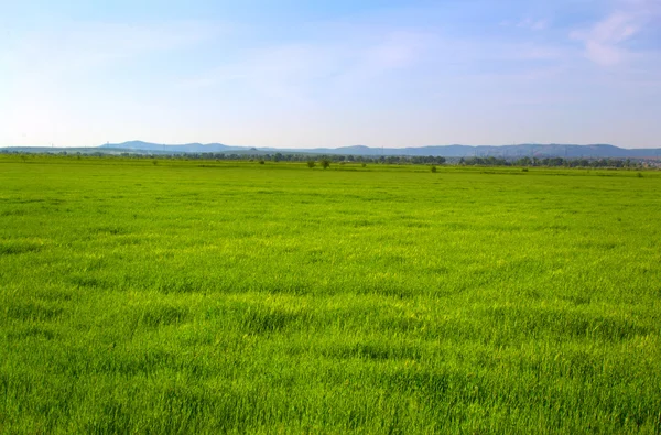 Paisagem — Fotografia de Stock