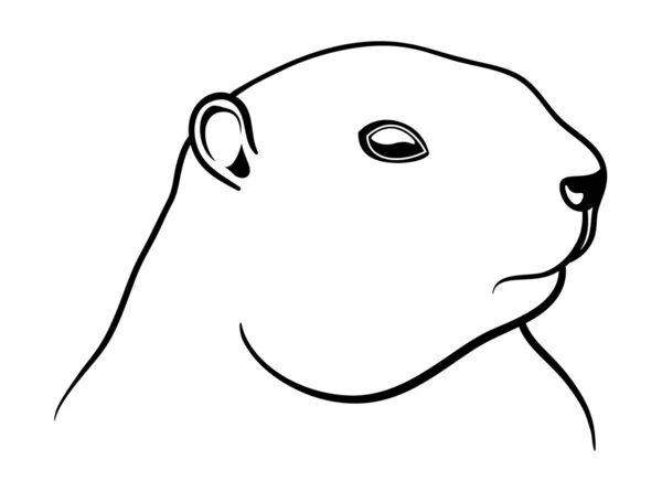 Ilustración vectorial en blanco y negro de marmota — Vector de stock