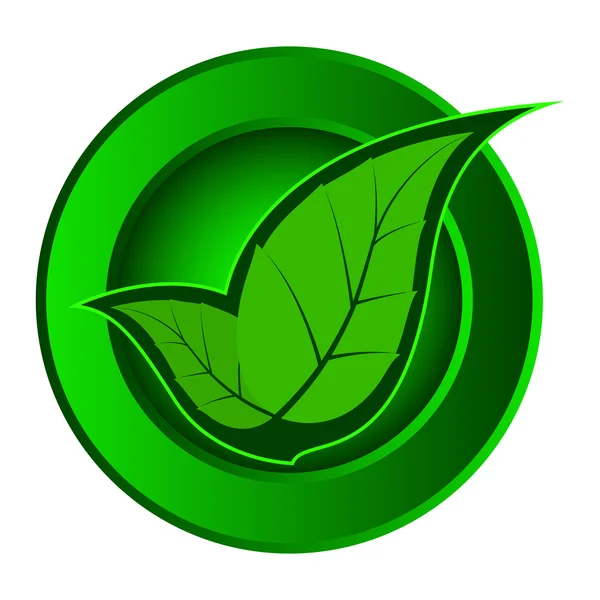 Két vektor zöld ikon levelek — Stock Vector