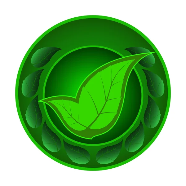 Icono de vector verde de dos hojas, con hojas alrededor — Vector de stock