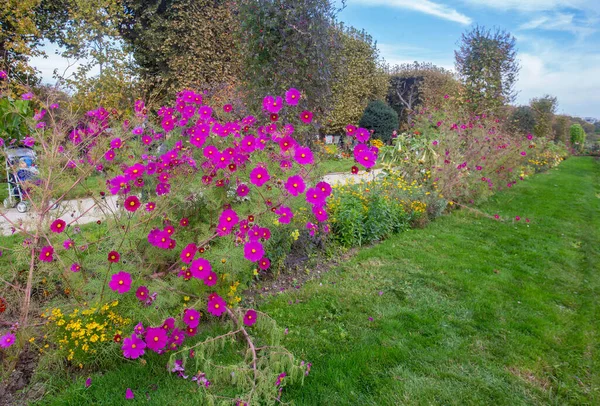 Fantastisk Mixborder Trädgård Växter Paris Hösten Fantastiska Perenner Den Botaniska — Stockfoto