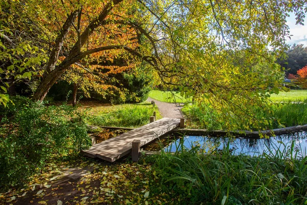 Increíble Jardín Japonés Moscú Otoño Hojas Rojas Naranjas Día Soleado —  Fotos de Stock