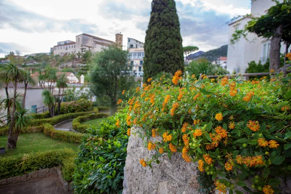 Niesamowity Kolorowy Kwiat Willi Rufolo Wybrzeżu Amalfi Południowych Włoch Fantastycznym — Zdjęcie stockowe