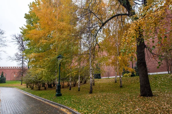 Удивительная Осень Александровском Парке Кремлем Москва Оранжевая Желтая Природа Листья — стоковое фото