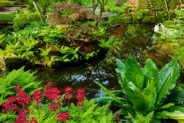 五月份 在海牙的日本花园 令人惊奇的黄色 粉色杜鹃花和小径 美丽的大自然 池塘和水生植物 — 图库照片