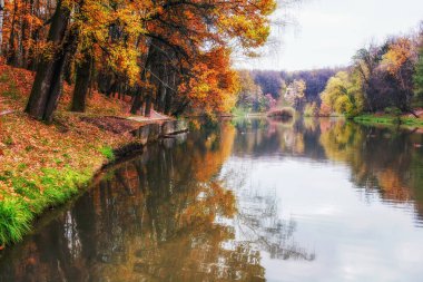 Tsarytsino parkında muhteşem sonbahar renkleri var. Gölet ve yansıma portakal yaprakları suda. (biraz filtrelenmiş fotoğrafçılık)