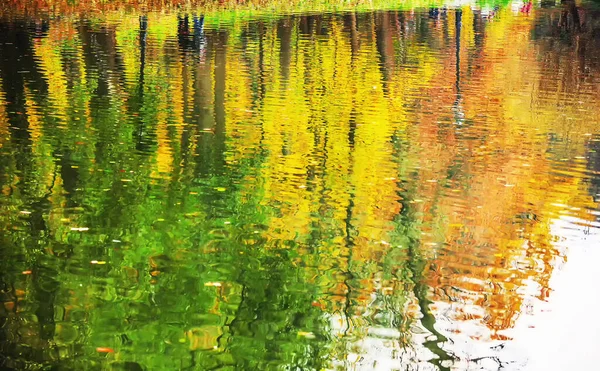 Отражения Оранжевых Желтых Листьев Воде Фантастический Пейзаж Осени Парке Царицыно — стоковое фото